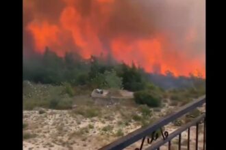 video incendii masive de padure in turcia 6862759f4feb4