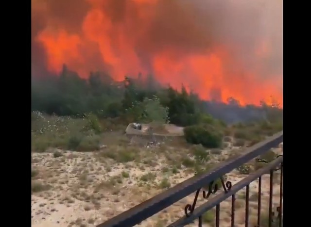 Flăcările devastatoare ale pădurilor din Turcia 1 video incendii masive de padure in turcia 6862759f4feb4