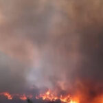 Focul necruțător devastează insula Chios din Grecia: sute de locuitori, nevoiți să fugă! 2 video incendiile de vegetatie fac ravagii in insula greceasca chios sute de oameni au fost evacuati 6858fe29dfe7e