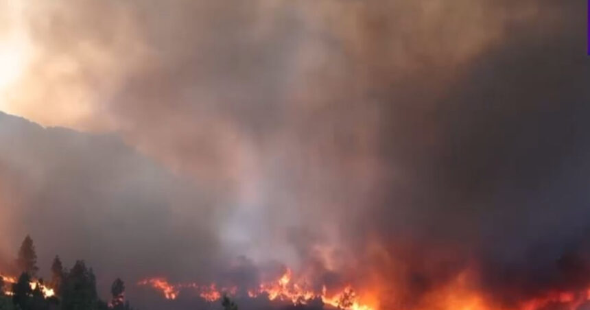 Focul necruțător devastează insula Chios din Grecia: sute de locuitori, nevoiți să fugă! 1 video incendiile de vegetatie fac ravagii in insula greceasca chios sute de oameni au fost evacuati 6858fe29dfe7e
