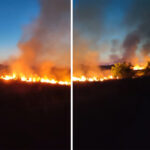 Foc de vegetație surprins de o locuitoare din Murfatlar: Uau, cât de impresionant! 2 video incendiu de vegetatie filmat de o localnica din murfatlar vai ce mare e 6857964457ef3
