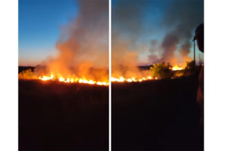 video incendiu de vegetatie filmat de o localnica din murfatlar vai ce mare e 6857964457ef3