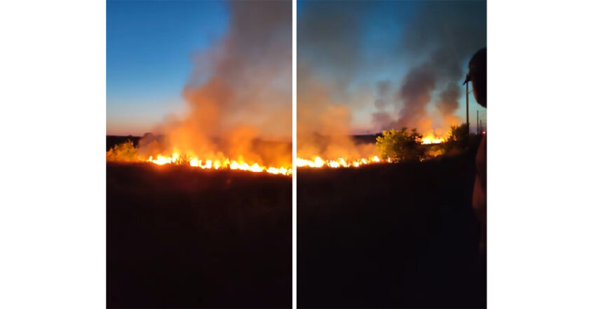 Foc de vegetație surprins de o locuitoare din Murfatlar: Uau, cât de impresionant! 1 video incendiu de vegetatie filmat de o localnica din murfatlar vai ce mare e 6857964457ef3
