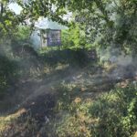 Flăcările de vegetație amenință Mamaia: Intervenție rapidă a pompierilor lângă Tenis Club 2 video incendiu de vegetatie la intrarea in mamaia pompierii au intervenit de urgenta in apropierea bazei tenis club 683c65575982f