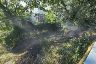 video incendiu de vegetatie la intrarea in mamaia pompierii au intervenit de urgenta in apropierea bazei tenis club 683c65575982f