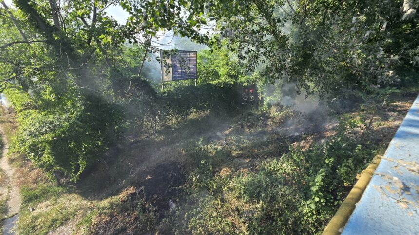 Flăcările de vegetație amenință Mamaia: Intervenție rapidă a pompierilor lângă Tenis Club 1 video incendiu de vegetatie la intrarea in mamaia pompierii au intervenit de urgenta in apropierea bazei tenis club 683c65575982f