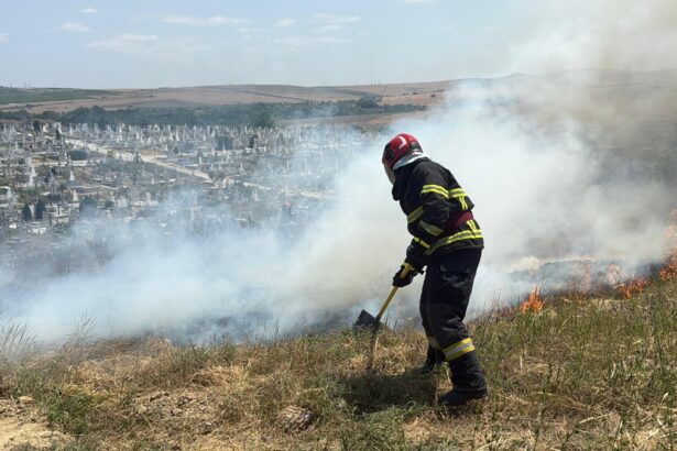 video incendiu de vegetatie uscata in cimitirul din tulcea pompierii actioneaza cu trei autospeciale 6852a825c3f10