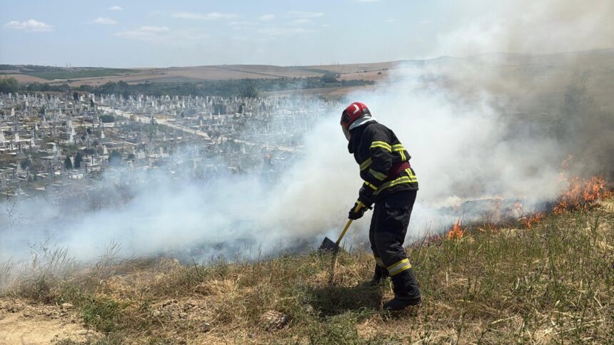 Flăcări devastatoare în cimitirul din Tulcea: Pompierii intervin cu trei echipaje pentru a stinge incendiul de vegetație uscată 1 video incendiu de vegetatie uscata in cimitirul din tulcea pompierii actioneaza cu trei autospeciale 6852a825c3f10