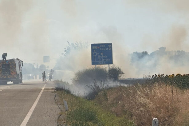 video incendiu puternic de vegetatie la maglavit in dolj pe o suprafata de 70 80 hectare traficul rutier a fost deviat 685d6a09aee7d