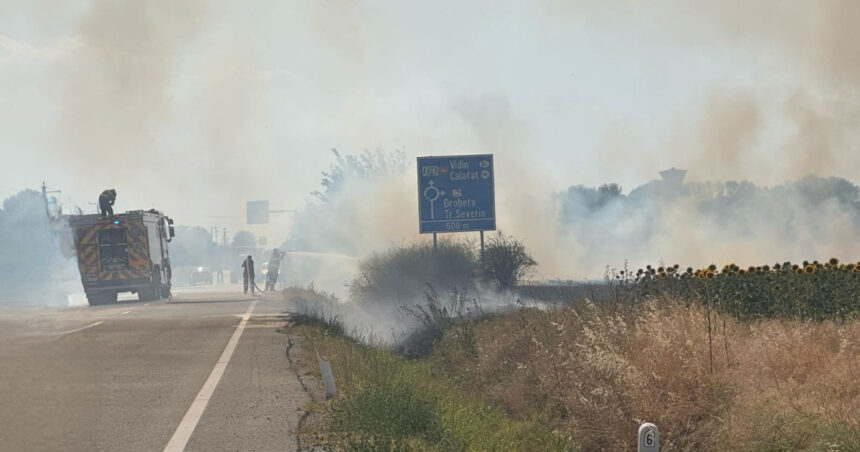 Flăcări devastatoare în Maglavit, Dolj: 70-80 hectare de vegetație în pericol, iar traficul a fost redirecționat. 1 video incendiu puternic de vegetatie la maglavit in dolj pe o suprafata de 70 80 hectare traficul rutier a fost deviat 685d6a09aee7d