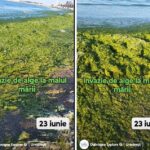 Algele invadatoare de la țărm: O misiune imposibilă în zori? 2 video invazie de alge la malul marii de adunat dimineata nu se poate 685a478e9df3e