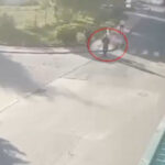 Informații recente în cazul omorului din zona rezidențială de lângă București: Pistolul utilizat de suspect ar fi fost sustras din Italia (Surse) 2 video noi date in cazul crimei din cartierul rezidential de langa bucuresti pistolul folosit de barbat ar fi fost furat din italia surse 683d9f3bb6d18