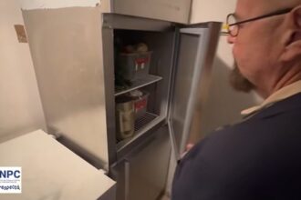 video piedone a controlat din nou un restaurant chinezesc din mall afi cotroceni pe care il inchisese recent ce a descoperit de data asta 68579c4c25fd6
