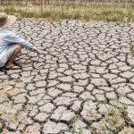 Planeta noastră va atinge în curând limita critică de 1,5 grade Celsius în trei ani, avertizează cercetătorii. 2 video planeta va depasi in trei ani pragul incalzirii globale de 15 grade celsius avertizeaza oamenii de stiinta 6853e2011af84