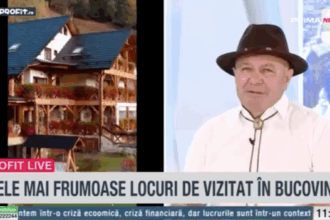 video profit ro tv ion baciu fondator casa baciu bucovina in romania la ora actuala se creste foarte bine daca muncesti putem concura cu orice tara din lume in turism cu ce avem in bucovina 68517fd5ee883