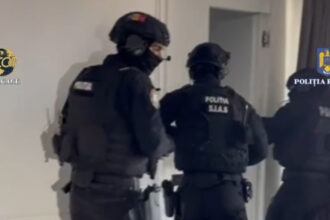 video retea internationala de droguri pe dark net destructurata peste 600 000 de utilizatori ce probe au fost ridicate din romania 68512d6786d20