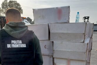 video sapte milioane de tigarete descoperite intr un container in portul constanta 685667ebe5378