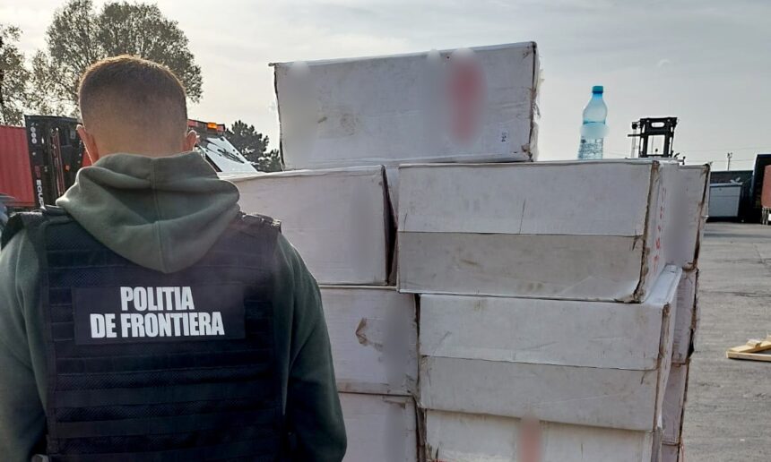 Captură impresionantă în Portul Constanța: Șapte milioane de țigarete confiscate dintr-un container! 1 video sapte milioane de tigarete descoperite intr un container in portul constanta 685667ebe5378