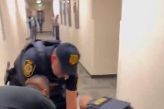 video scandal in sua senator american a fost dat afara pus la podea si incatusat 684b4ac04da4e