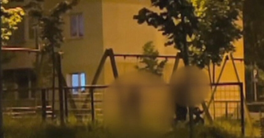 Imagini șocante dintr-un parc brașovean: o mamă agresată de soț, în timp ce copilul ei plânge în leagăn. Soțul a fost prins de autorități. 1 video scene socante intr un parc din brasov femeie batuta de sot in timp ce copilul plange in leagan agresorul a fost retinut 68465eac074d6