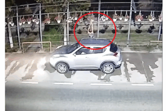 video tentativa de furt esuata in nicolae balcescu o femeie surprinsa incercand sa smulga ghivecele cu muscate 684bedaf0961a