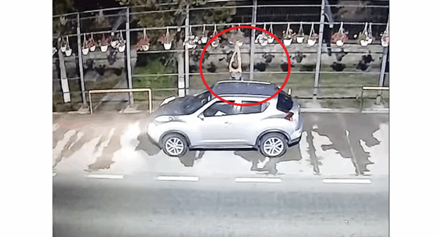 Femeie surprinsă în Nicolae Bălcescu în timp ce încerca să fure ghivecele cu mușcate! 1 video tentativa de furt esuata in nicolae balcescu o femeie surprinsa incercand sa smulga ghivecele cu muscate 684bedaf0961a