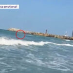 video tragedie evitata la limita cum a fost salvata de la moarte tanara abandonata de iubit in mijlocul valurilor la costinesti 6849924c97b3f