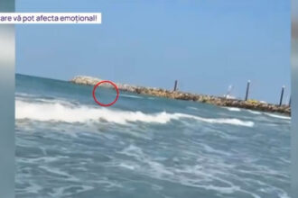 video tragedie evitata la limita cum a fost salvata de la moarte tanara abandonata de iubit in mijlocul valurilor la costinesti 6849924c97b3f