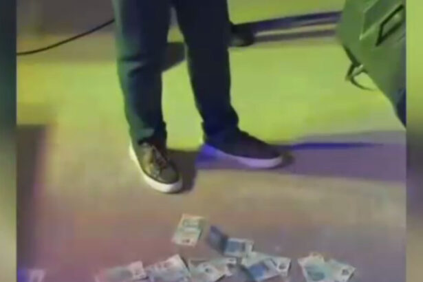 video un primar psd arunca cu bani la o petrecere cu manele de zilele comunei 30 de milioane de la mine pentru voi tata a a fara numar 68518c633b45a