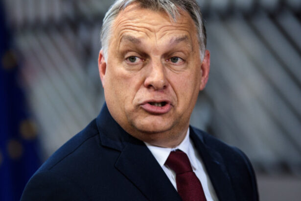 viktor orban este in centrul campaniilor anti bulgare din balcani spune un fost presedinte al bulgariei 686005f67a5db