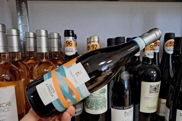 vinul zilei un alb organic obtinut din soiul grillo care surprinde esenta verii siciliene in cea mai pura si sincera forma a ei 683e936a6a908