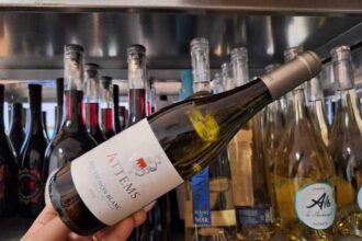 vinul zilei un sauvignon blanc de la o crama din italia al carui nume este sinonim cu excelenta in domeniul vinurilor note olfactive de mere verzi ardei gras si agrise completate pe palat de citr 685ce5d6cf0c0