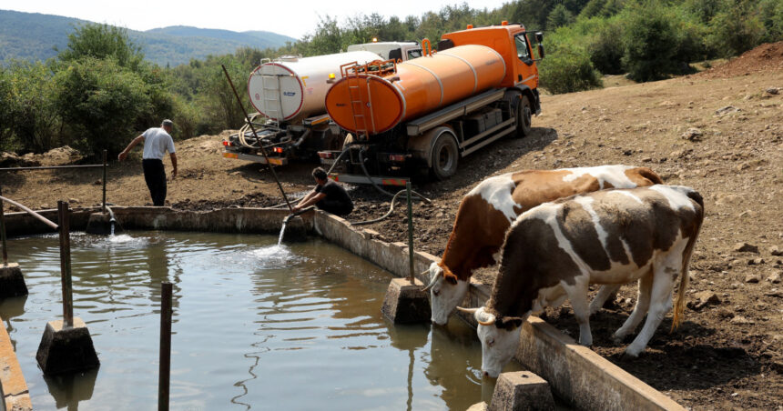 Furtunile căldurii în Balcani: O vară record pentru țările din Sud-Estul Europei 1 vreme extrema in europa de sud est tarile din balcani se confrunta cu temperaturi istorice 685d5f929f5ed