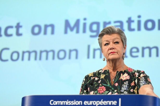 ylva johansson va fi noul reprezentant special al ue pentru ucrainenii din blocul comunitar 684b3ef396920