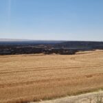 Foc și Cenușă: Flăcările devastatoare din Topraisar, Mereni, Medgidia, Agigea și Corbu 3 zi de foc incendii de vegetatie uscata la topraisar mereni medgidia agigea si corbu 685d22a1d2512