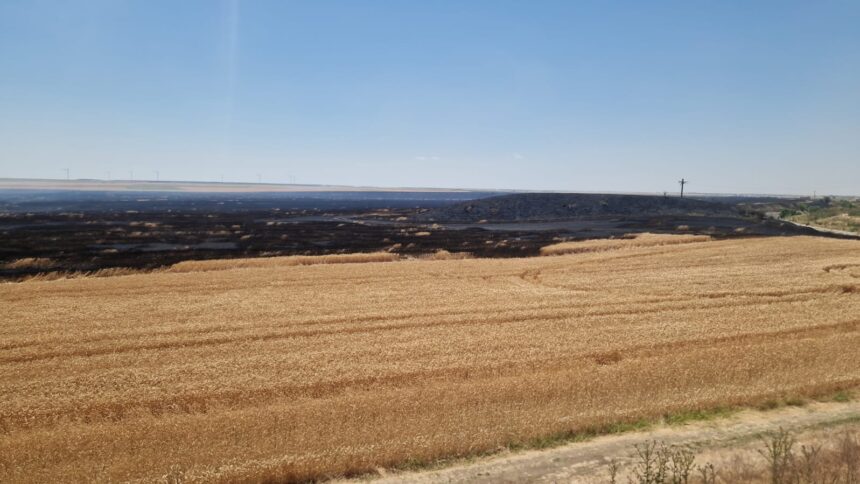 Foc și Cenușă: Flăcările devastatoare din Topraisar, Mereni, Medgidia, Agigea și Corbu 1 zi de foc incendii de vegetatie uscata la topraisar mereni medgidia agigea si corbu 685d22a1d2512