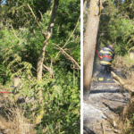 Foc nestăvilit în Tulcea: Un autoturism a declanșat un incendiu devastator în litiera pădurii din Caraorman 3 zi de foc pentru pompierii din tulcea un incendiu pornit de la un autoturism a cuprins litiera padurii din localitatea caraorman 6858380b495c9