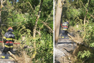 zi de foc pentru pompierii din tulcea un incendiu pornit de la un autoturism a cuprins litiera padurii din localitatea caraorman 6858380b495c9