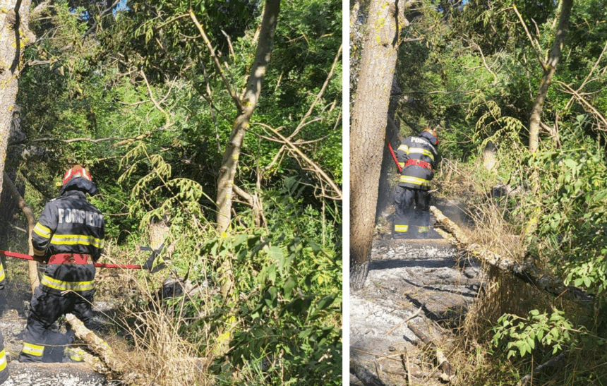Foc nestăvilit în Tulcea: Un autoturism a declanșat un incendiu devastator în litiera pădurii din Caraorman 1 zi de foc pentru pompierii din tulcea un incendiu pornit de la un autoturism a cuprins litiera padurii din localitatea caraorman 6858380b495c9