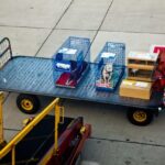 Zooland.ro - Tinerii din Generația Z renunță la zborurile cu avionul din pricina patrupedelor lor 2 zooland ro generatia z evita sa zboare cu avionul din cauza animalelor de companie 684bc286130e6