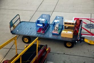 zooland ro generatia z evita sa zboare cu avionul din cauza animalelor de companie 684bc286130e6