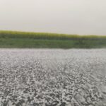Avertizare de furtuni puternice, ploi abundente și grindină pentru 52 de comunități din județul Constanța 3 alerta de vijelie ploi torentiale si grindina pentru 52 de localitati din judetul constanta 6888eab944dd9