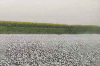 alerta de vijelie ploi torentiale si grindina pentru 52 de localitati din judetul constanta 6888eab944dd9