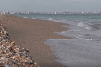 anat il acuza pe ministrul economiei ca si a format opinii eronate despre piata turistica paralele cu realitatea 688383bc9e4ad