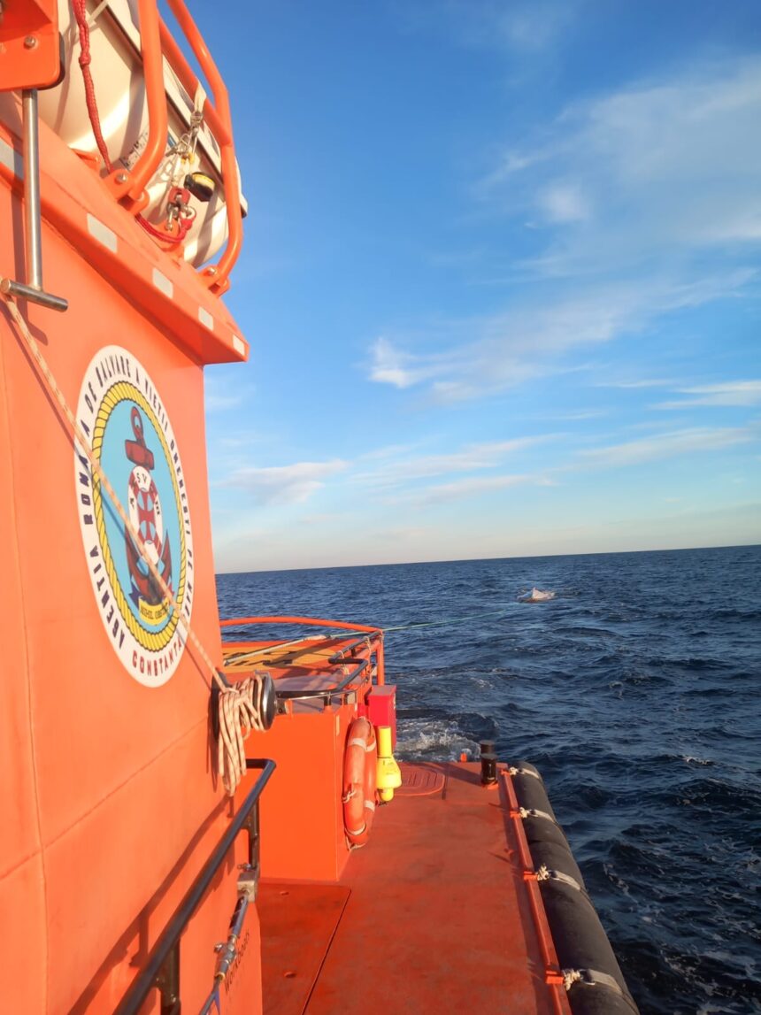 ARSVOM: Salvare spectaculoasă în Portul Constanța: un marinar cu afecțiuni cardiace adus în siguranță de pe o navă sub pavilion tanzanian 1 arsvom interventie de urgenta in portul constanta marinar cu probleme cardiace salvat de pe o nava sub pavilion tanzania 6884c039865d3