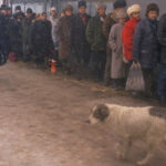 Bucureștiul din 1989 surprins în secret: imagini nepublicate anterior în România 2 bucurestiul anului 1989 filmat cu camera ascunsa filmari inedite care nu au mai fost prezentate pana acum in tara 6888a54509998