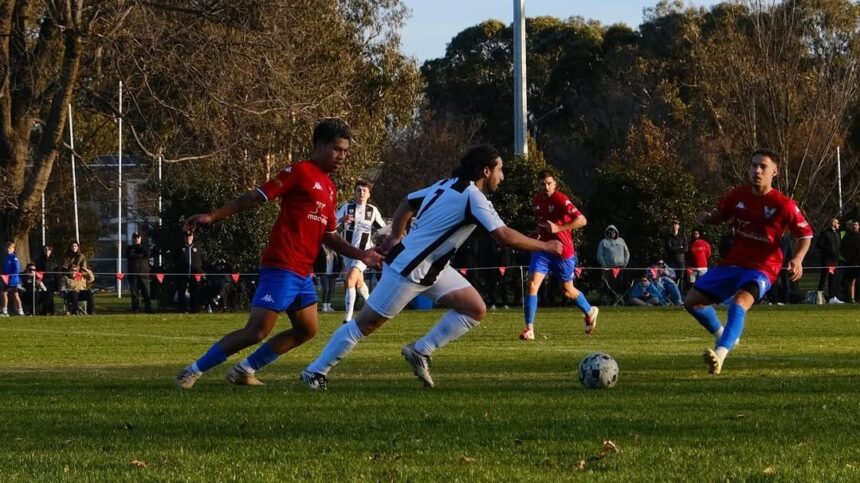 Ce surprize aduce fotbalul australian? Meciuri spectaculoase cu scoruri de 6-3, 5-1 și 5-2! 1 ce se intampla cu fotbalul in australia runda nebuna cu scoruri de 6 3 5 1 si 5 2 68848853e45fc