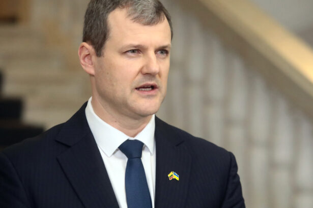 criza politica in lituania premierul gintautas paluckas si a anuntat demisia dupa ce a fost acuzat de afaceri controversate 688b3d7745201