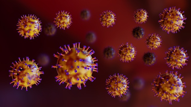 Europa este pe cale să îmbrățișeze primul tratament PrEP injectabil, administrat la interval de 6 luni – o oportunitate extraordinară pentru prevenirea HIV în România! 1 europa se apropie de aprobarea primului tratament prep injectabil cu administrare la 6 luni o sansa uriasa pentru preventia hiv in romania 68839c5268a54