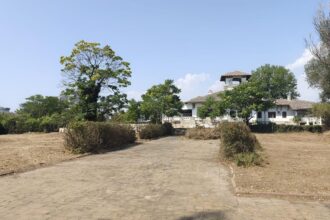 foto actiune de igienizare la vila regala din mamaia in curtea palatului reginei maria ce spune ministerul culturii 688b51a038d52